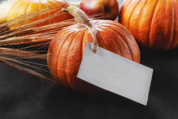 Calabaza y tarjeta vacía . — Foto de Stock