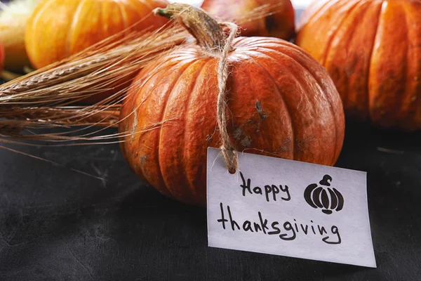 Calabaza y tarjeta de acción de gracias Fotos De Stock