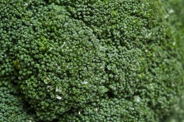 Brokoli yakın çekim