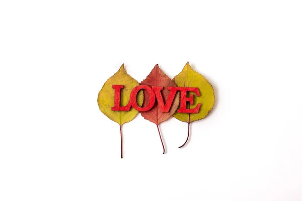 Autumn composition. Autumn leaves on white background. The word love lies on the leaves. — Stock Photo, Image