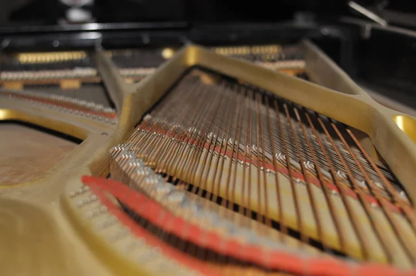 Afinando tu piano. Vista de cerca. Instrumentos musicales. — Foto de Stock
