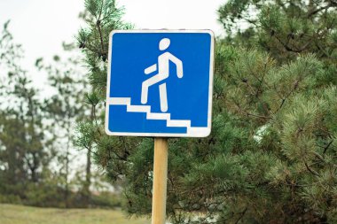 Bir çam ağacının arka planında yükseltilmiş bir kavşağın yol işareti. 