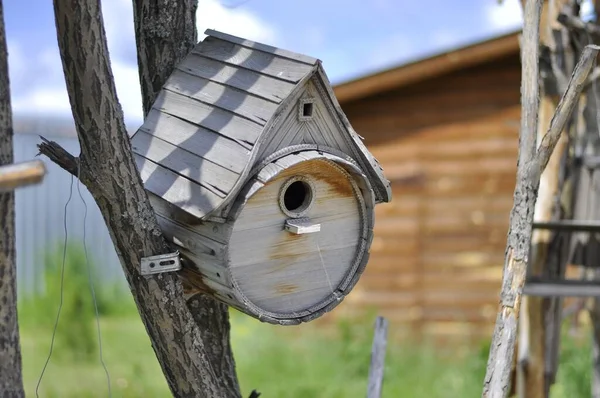 Birdhouse en el árbol en verano. Una casa de pájaros en un tronco de árbol delgado. — Foto de Stock