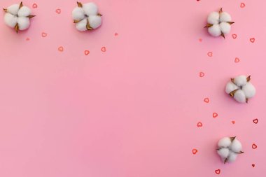 Sevgililer Günü için tebrikler. Pembe arka planda pamuk çiçekler ve altın kalpler. Düzen