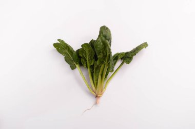 Taze yeşil ıspanak beyaz arkaplanda izole edilmiş. 