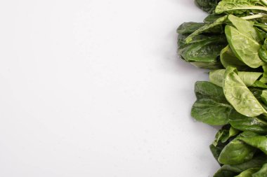 Sağdaki beyaz arka planda ıspanak yaprakları. Pankart. maket yap