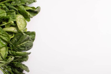 Vejetaryen yemeği. Beyaz arka planda ıspanak yaprakları. Boşluğu kopyala