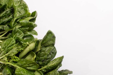 Taze yeşil ıspanak. Beyaz arka planda bebek ıspanak yaprakları yığını. - Yakın çekim. Boşluğu kopyala