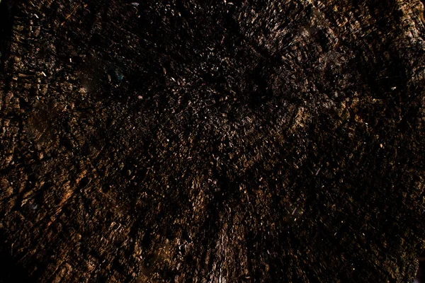 Siyah ve koyu kahverengi renklerin dokusu. 