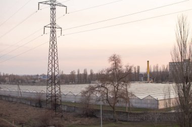 Kentsel konut binalarının arka planına karşı modern sera kompleksi. 