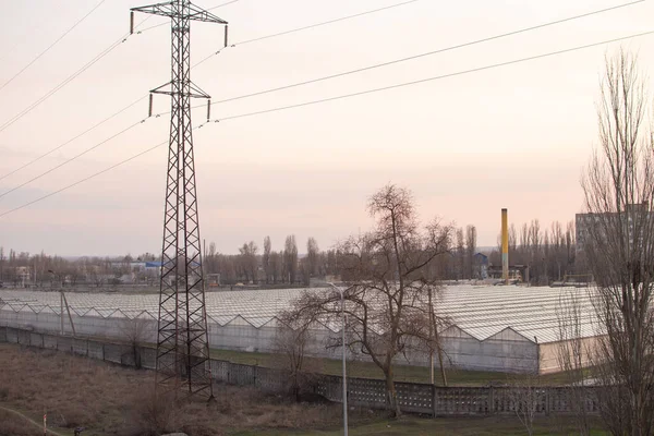 Kentsel konut binalarının arka planına karşı modern sera kompleksi. 