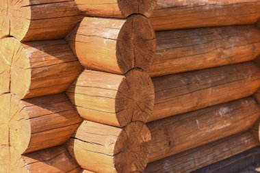 Tahta kütük odunlar duvara bağlandı. 