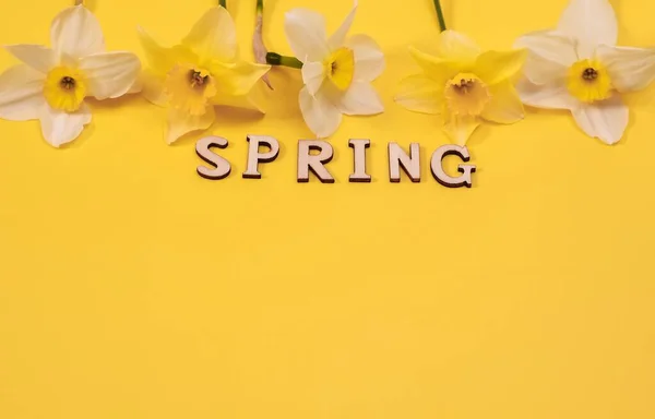 L'inscription du vendredi est le printemps en lettres de bois. Fleurs de jonquille sur fond jaune. Aménagement. copyspace — Photo
