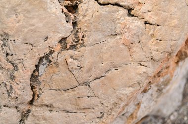 Close-up of a rough rock surface with visible cracks and natural erosion lines.beige stone showing surface irregularities, weathering marks, and natural patterns. textured stone background with cracks