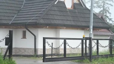 Geleneksel ev yağmurlu havada ayakta duruyor. Islak zemin ve kara bulutlar kasvetli köy manzarası yaratır. Evin etrafındaki yağmur damlaları ve ıslak yüzeyler fırtınalı atmosfer ve kırsal cazibeyi vurguluyor.