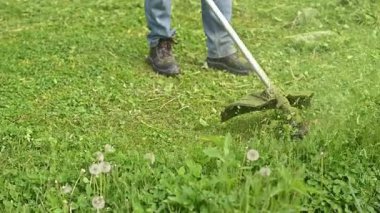 Tıraş makinesi çimenlikteki yemyeşil çimenleri keser. Süsleme operasyonuna yakın çekim. Benzin çim biçme makinesi. bahçe bakımı