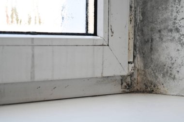 Pencerenin köşesinde ve etrafındaki duvarda küf var. Uzun süreli neme maruz kaldığını gösteriyor. Siyah lekeler ciddi su hasarı ve kötü havalandırma belirtileridir. Pencere ve duvarda siyah küf, 