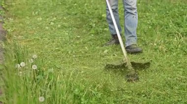 Kesici kafa yoğun çimenlerin arasında şiddetle döner, sık otlar keser, her yöne taze yeşil kesikler atar. budama kablosu bitki örtüsünü vahşi bir verimlilikle yok eder. Kırpma kablosunu yakalar