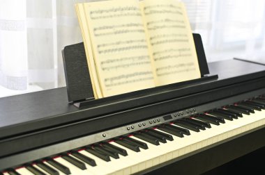 Elektronik piyanonun üzerinde duran müzik kitabı yaratıcılığı ve pratiği sembolize ediyor. Müzik kitabı müzik becerilerini geliştirmek için hayati bir araçtır. 