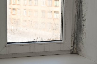 Pencere çerçevesi ağır küf hasarı gösteriyor. Bölgede havalandırma zayıf. Pencere çerçevesindeki küf hasarı gözle görülür lekeler ve renk değişimiyle belli oluyor. siyah küf pencere dairesi .