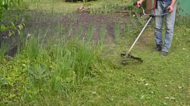 Kesici bıçak yüksek hızda döner ve yoğun yeşil çimenleri mekanik hassasiyetle keser. Taze kesikler yana doğru patlıyor. Benzin makası. Naylon kablosu bitkilerin arasında dönüyor.