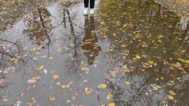 Ağaçları ve gökyüzünü yansıtan su birikintisinin içinde yürüyen kişi, sonbahar yaprakları yüzeyde yüzüyor. Sarı yapraklardan oluşan bir sonbahar ortamı. Sonbahar yaprakları yüzer. Kadınlar yağmur üstüne su birikintilerinde yürür..