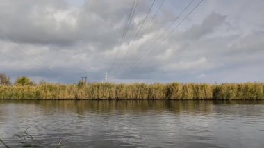 Nehir üzerinde elektrik hatları. Sakin nehir bulutlu gökyüzünün altında uzun sazlıklar boyunca akıyor. Su hareketi kırsal arazinin atmosferini yansıtır. Altın kamışlı ve dalgalı su yüzeyli nehir kıyısı.