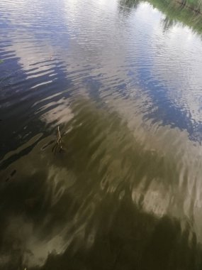 Gökyüzünün su yansımasının dikey arkaplan fotoğrafı. Yumuşak dalgalar bulutları bozar. Aynaya benzeyen su yansıyan gökyüzünde doğayı gösteriyor. Dalgalanan yüzey hareket katar. desenli su arkaplanı