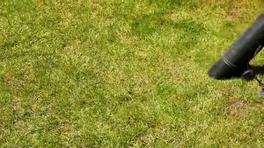 Süpürge başlığı, yeşil bahçe yüzeyindeki çim biçme işleminden sonra çim parçaları topluyor. Süpürge kapanışı bahçe temizliği, modern açık hava ekipmanları, yaz bakımı, bahçe bakımı konsepti gösteriyor.