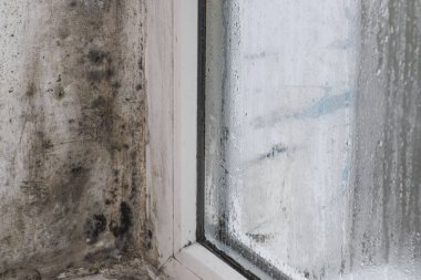 Plastik camlarda küf var. ıslak pencere.