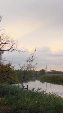 Yağmurdan sonra bulutlu bir gökyüzünün altında nehrin üzerinde uçan kuğuların olduğu sakin bir gölün dikey videosu. Çimlerle çevrili sessiz nehir bulutlu bir sonbahar gökyüzünü yansıtır. Kuşlar uzaklarda uçar.
