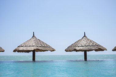 şemsiye deniz okyanus plaj