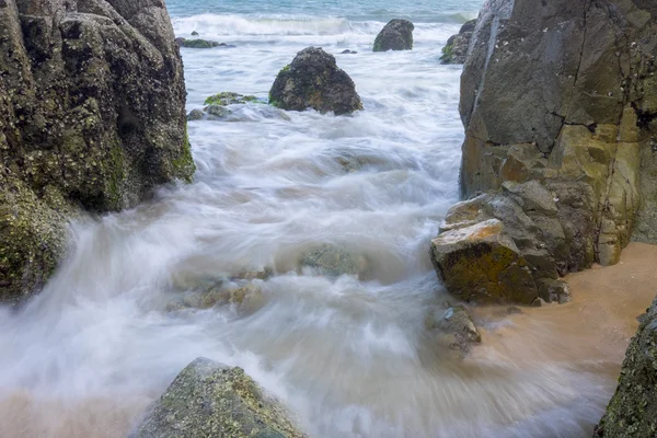 Deniz dalga plaj seyahat