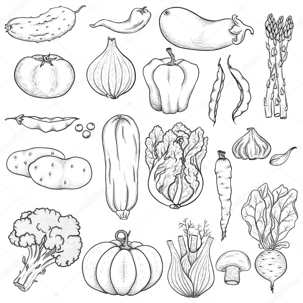 Big set of vegetables