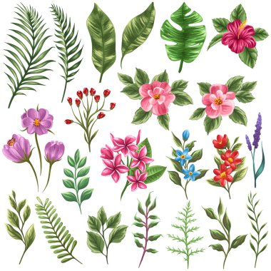 Collection of flowera and leaves clipart