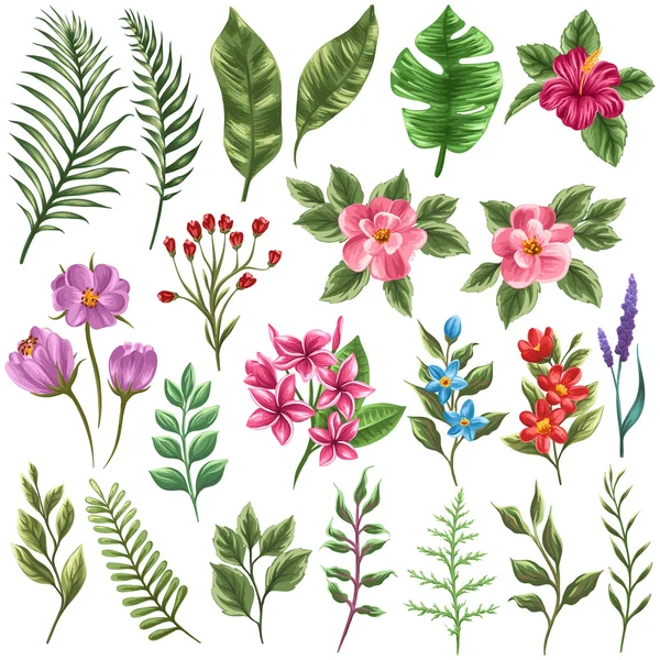 Collection of flowera and leaves — Stock Illustration Collection of flowera and leaves Vector Graphics
