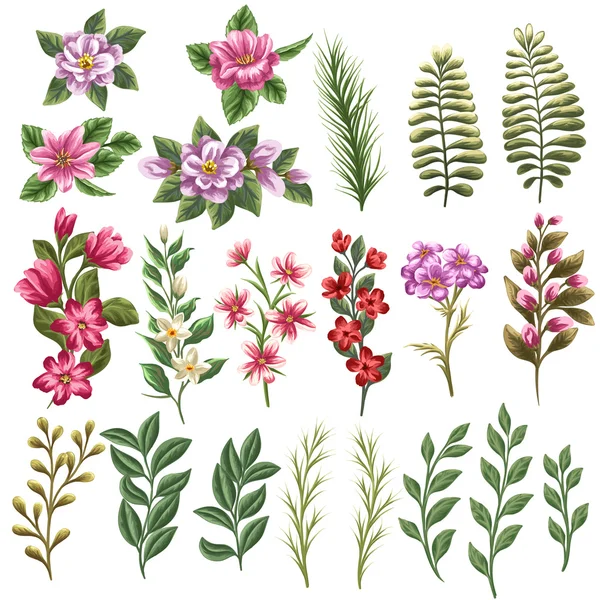 çiçekler ve yapraklar