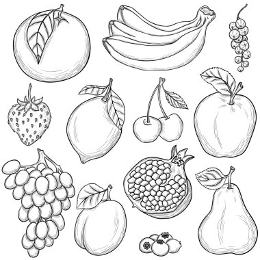 Set of sketched fruits