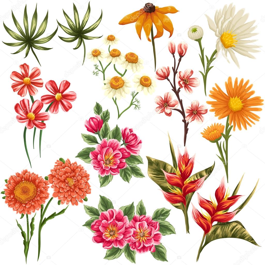 Flores tropicales imágenes de stock de arte vectorial | Depositphotos Flores tropicales imágenes de stock de arte vectorial | Depositphotos