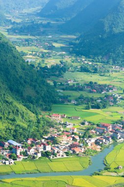 pirinç alan Vadisi'nde Bac oğlu, Vietnam ile köy.