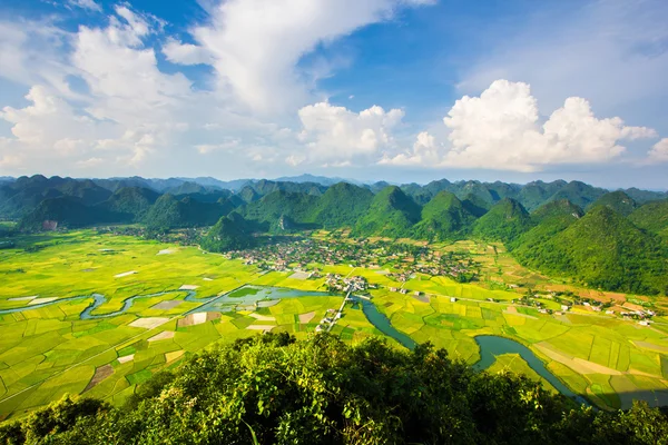 Campo de arroz no vale em Bac Son, Vietnã — Fotografia de Stock