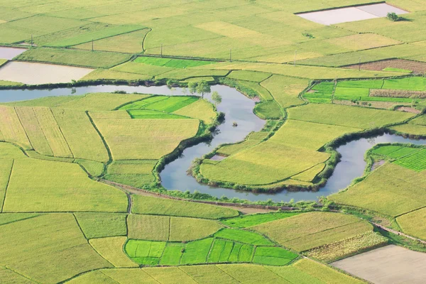 Rizière à Bac Son, Vietnam — Photo