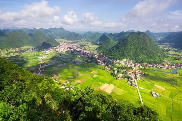 Reisfeld im Tal in bac son, Vietnam — Stockfoto