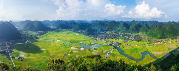 Rizière dans la vallée de Bac Son, Vietnam — Photo