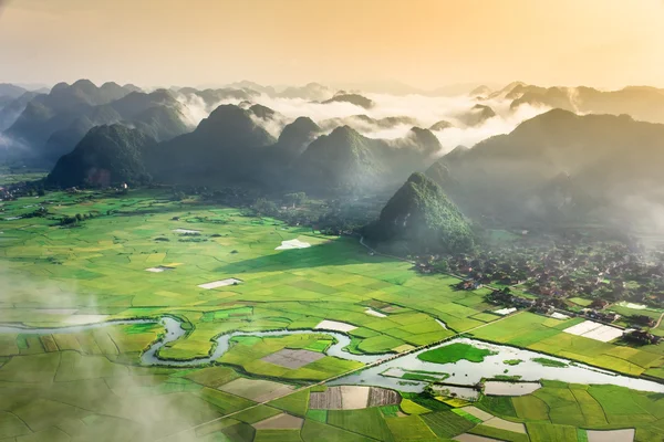 Ryżu pola w dolinie w Bac syna, Wietnam — Zdjęcie stockowe
