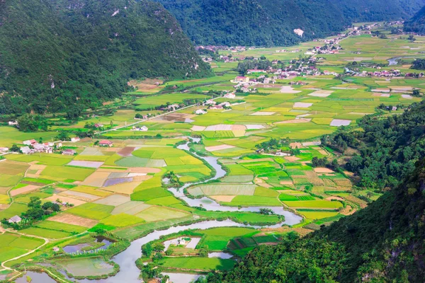 Campo de arroz no vale em Bac Son, Vietnã — Fotografia de Stock