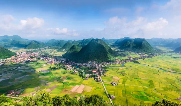 Reisfeld im Tal in bac son, Vietnam — Stockfoto