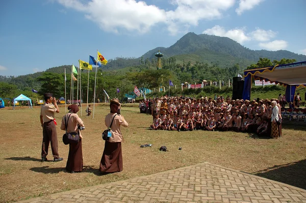 Rover Scout Stockfoto