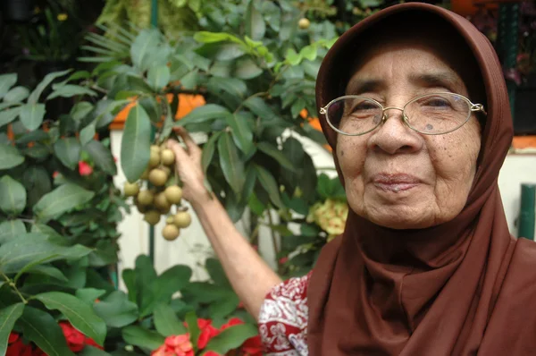 Abuela — Foto de Stock