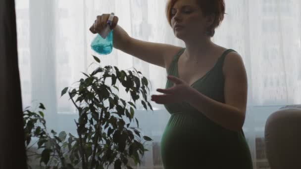 Mujer embarazada regando una planta de interior — Vídeo de stock